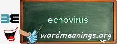 WordMeaning blackboard for echovirus